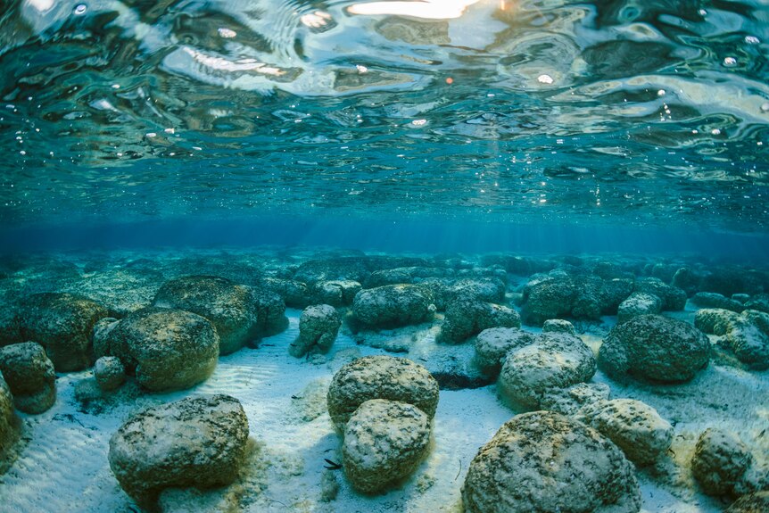An underwater photo of lumps of rock on the seabed. 