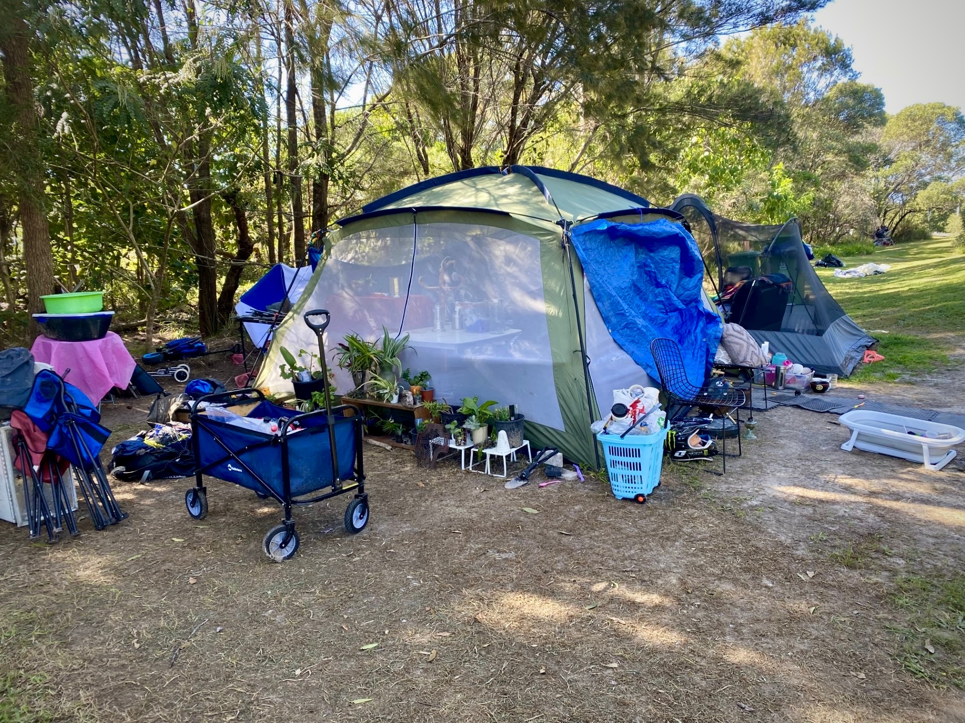 a lived in camp site with pot-plant garden