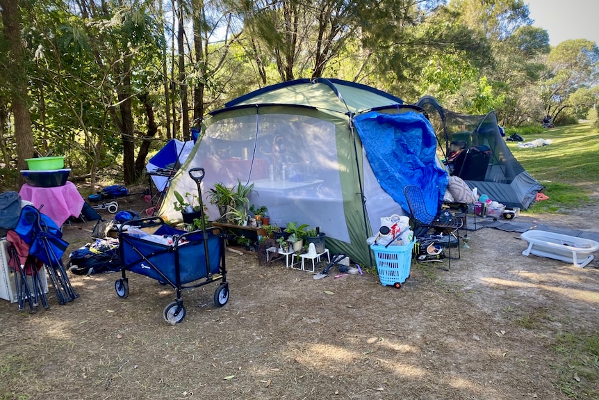 a lived in camp site with pot-plant garden