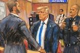 Donald Trump in court