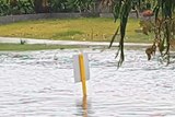 A street sign sitting in flooded water with grass behind.