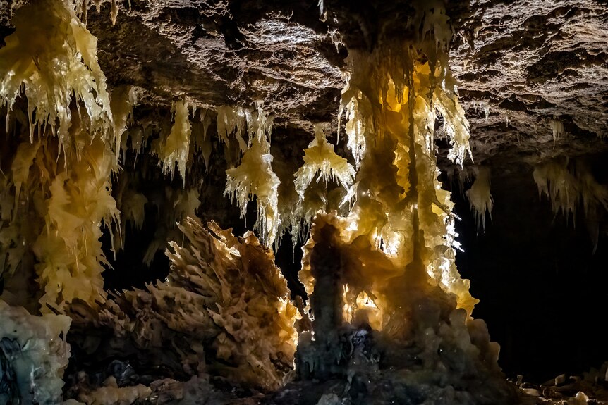 Stalactites hanging from the roof of a cave. 