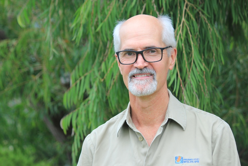  A man with glasses and a grey beard stands in front of a peppermint tree. He has a  Parks and Wildlife shirt on