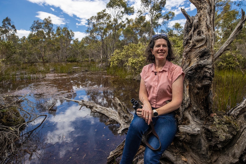 A woman sits on part of a dead tree in a wetlands area, which is surrounded by gum trees