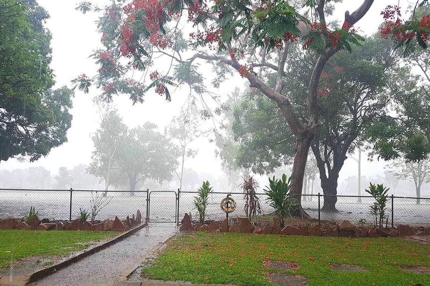 Rain falling on western Cape York cattle property