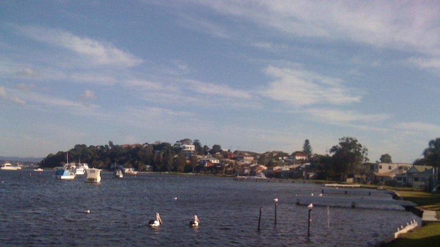 The edge of a lake with two pelicans and a number of boats moored, with houses on a headland overlooking the bay.