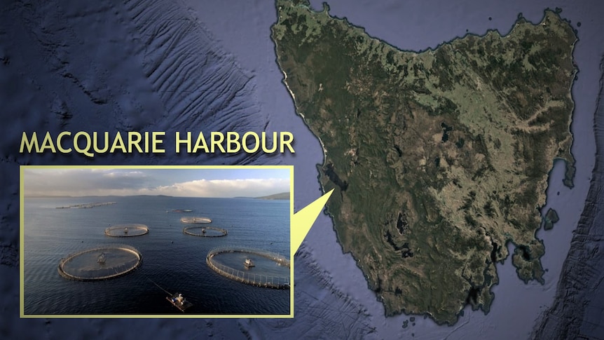 Map showing Macquarie Harbour location in Tasmania.
