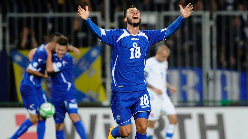 Medunjanin celebrates a goal for Bosnia
