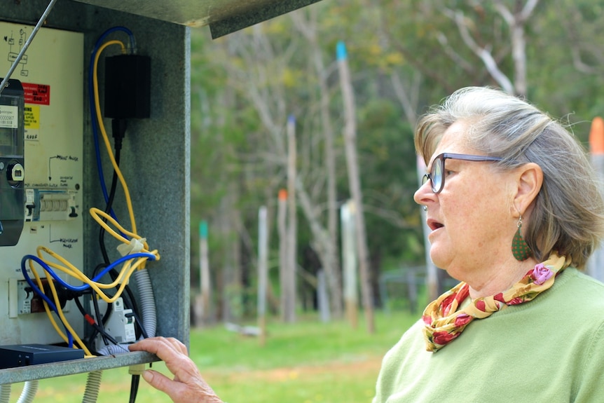 A woman with grey hair and green jumper looks into a fuse box. She's in a paddock, in a rural setting