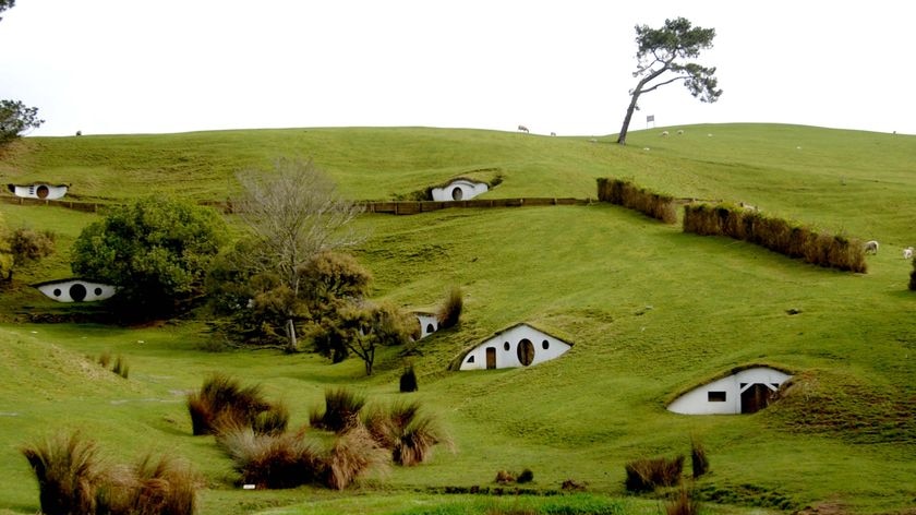 The remains of the Hobbiton movie set from the film the Lord of the Rings