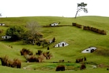 The remains of 'Hobbiton'