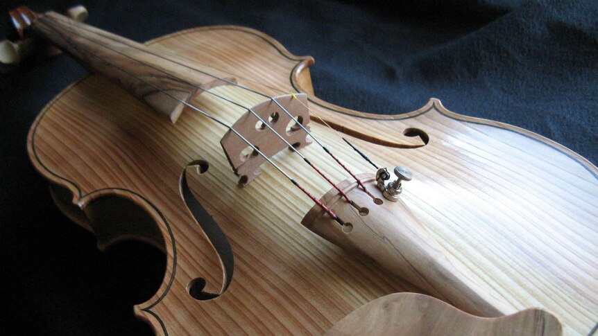 A violin made from historic wood.