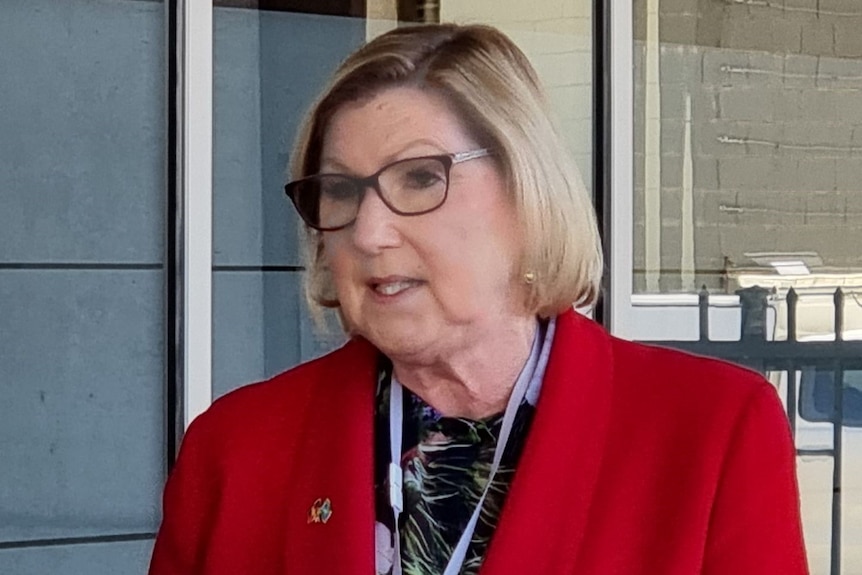 A blonde, bespectacled woman in a brightly coloured blazer speaks to the media.