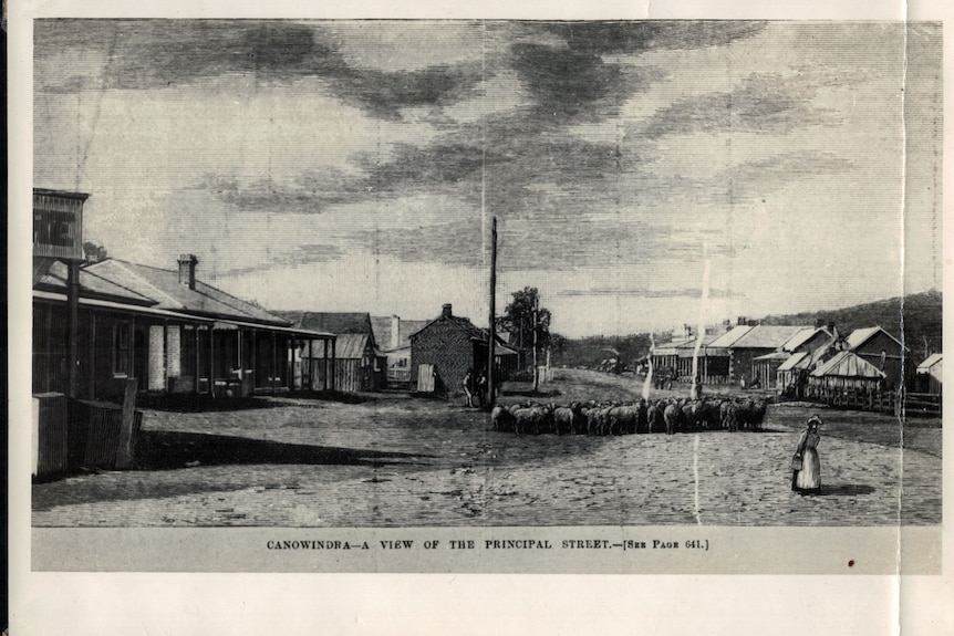 Black and white painting of Canowindra main street, with a herd of sheep in the foreground and buildings to the left