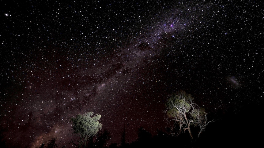 Milky Way stars dotted above two trees