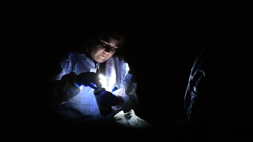 Forensic investigators at work