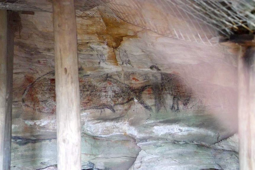 Charcoal art depicting a large whale and an emu behind inside a cave with timber props holding up the roof.