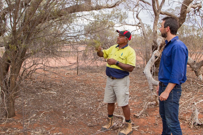 Indigenous Elder Phil Eulo with Climate Friendly's Josh Harris