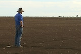 A man in a blue shirt standing in a dry paddock with no crop planted.