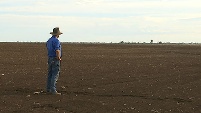 A man in a blue shirt standing in a dry paddock with no crop planted.