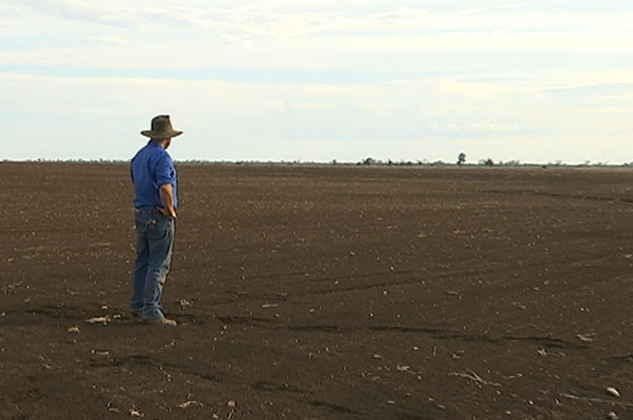 A man in a blue shirt standing in a dry paddock with no crop planted.