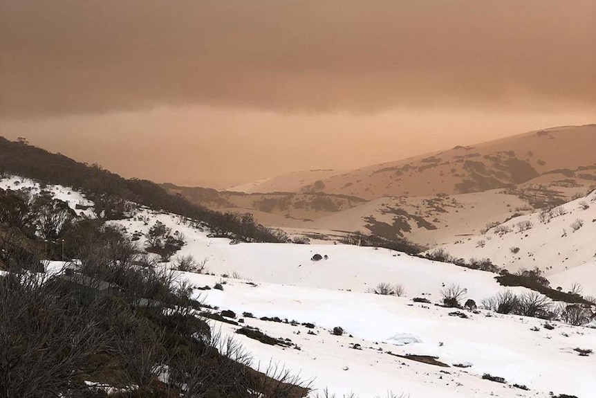 Image of dust hovering above snow in the Snowy Mountains. The sky is red with dust.