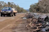 Car drives beside flood debris - branches washed up on the highway.