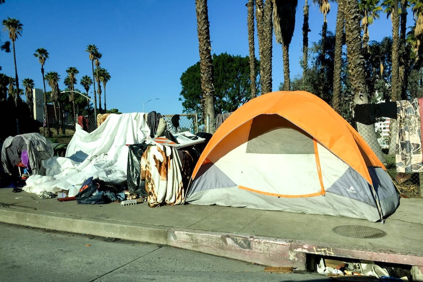'Tent encampment' set up in LA by the homeless