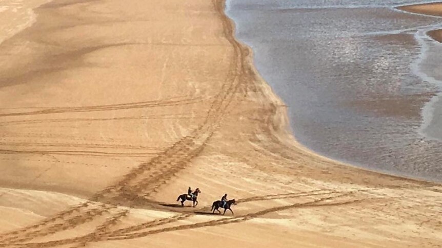 Elevated view of horses and their riders making their way along a beach at low tide.