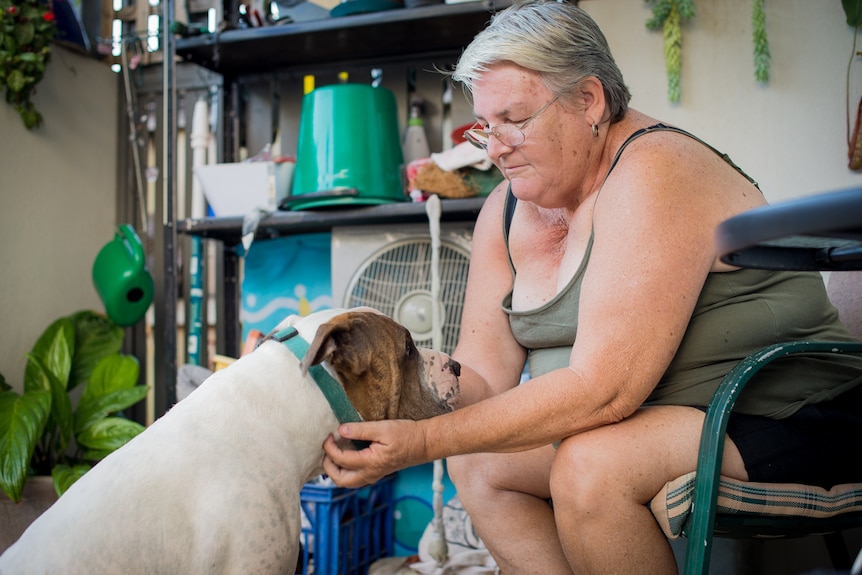 A woman sits on a chair, scratching a large white-and-brindle dog behind the jaw.