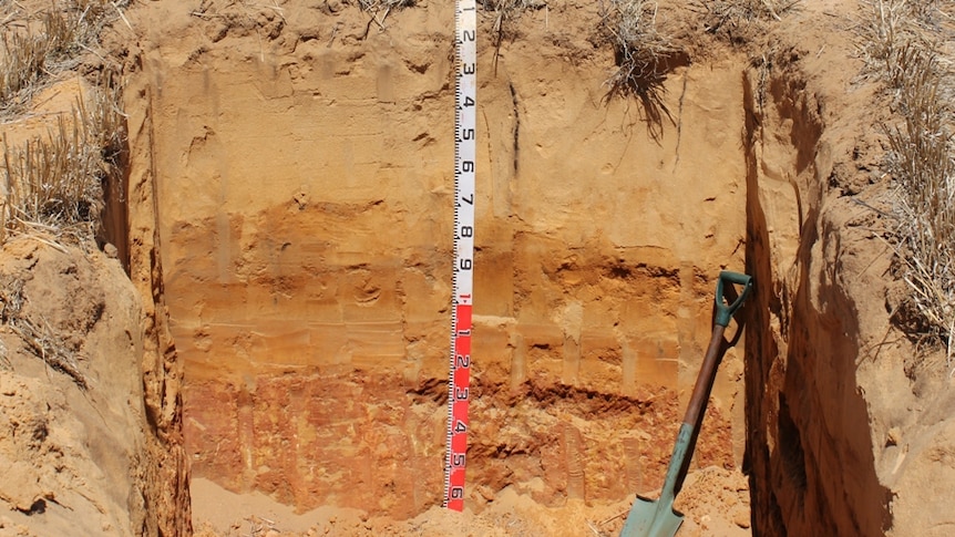 Mallee soil profile