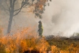 Several large grassfires threatened homes.