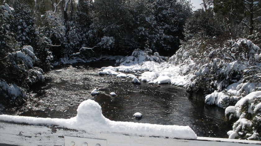 Snow falls at Cradle Mountain