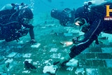 Two divers float over a tiled panel on the ocean floor