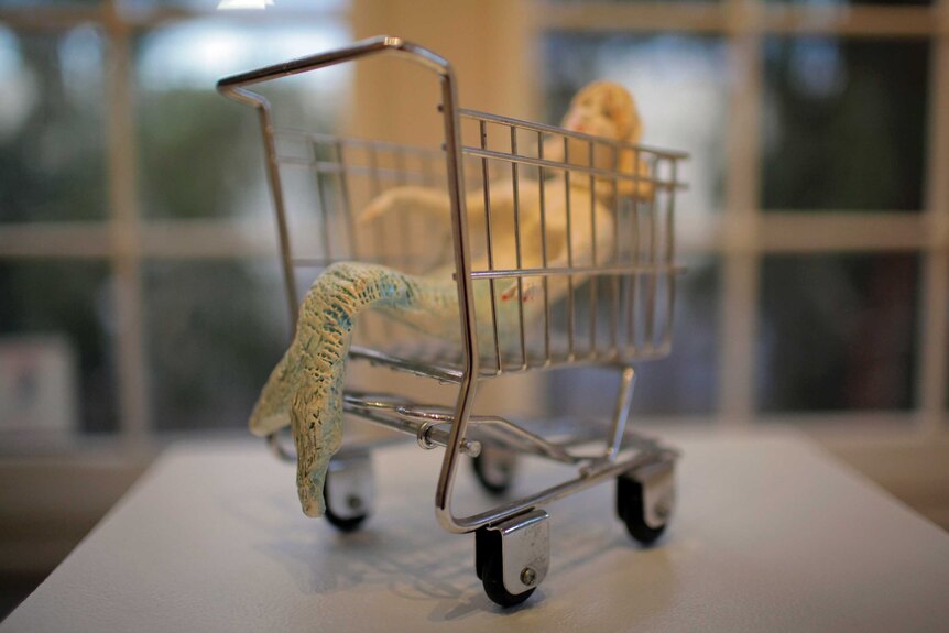Mermaid in a shopping trolley sculpture.