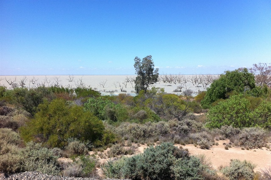 Menindee Lakes