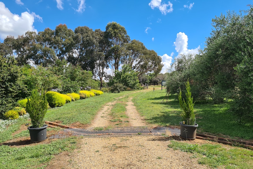 An open drain running through a gravel driveway on a rural property.