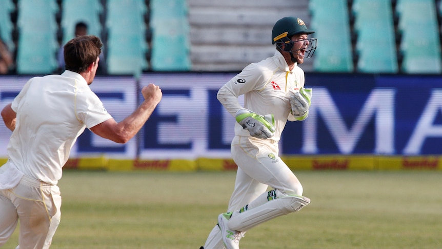 Tim Paine celebrates Aiden Markram's dismissal