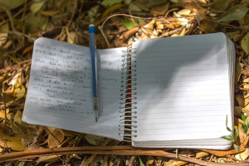 A notepad on the forest floor
