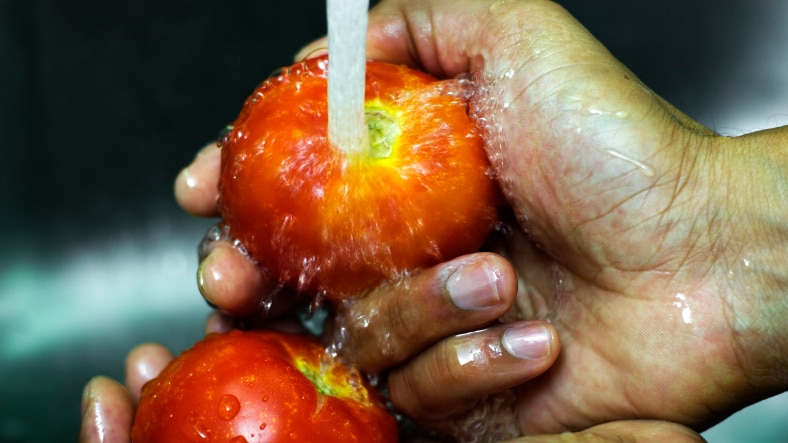 A man washing tomatoes underneath a tap in a sink.