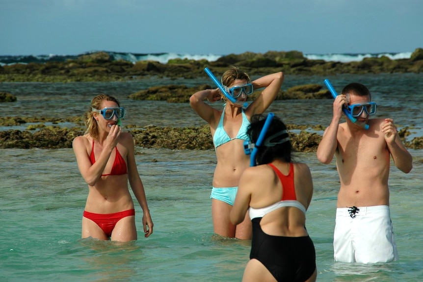 Snorkellers stand in shallow waters at Lord Howe Island.