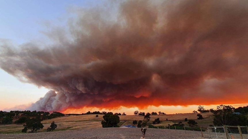 A plume of red smoke in the distance, taken from a hill in Bullsbrook.