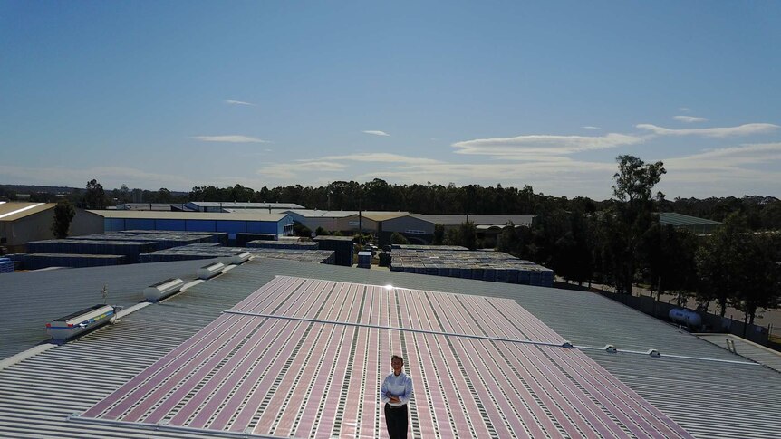 Paul Dastoor stands in front of 200 square metres of solar panels.