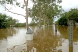 In Maryborough about 30 properties were flooded when the Mary River peaked yesterday.