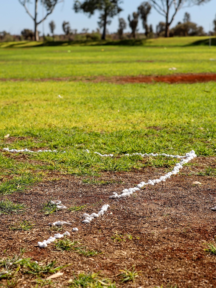 Shaving cream dotted across a dirt and grass football oval