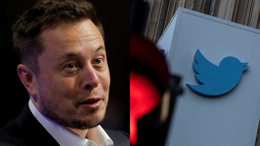 A photo of Elon Musk next a photo of the Twitter logo outside the company's San Francisco building. 