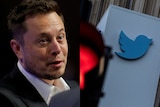 A photo of Elon Musk next a photo of the Twitter logo outside the company's San Francisco building. 