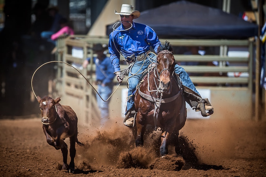 A rodeo rider in the arena