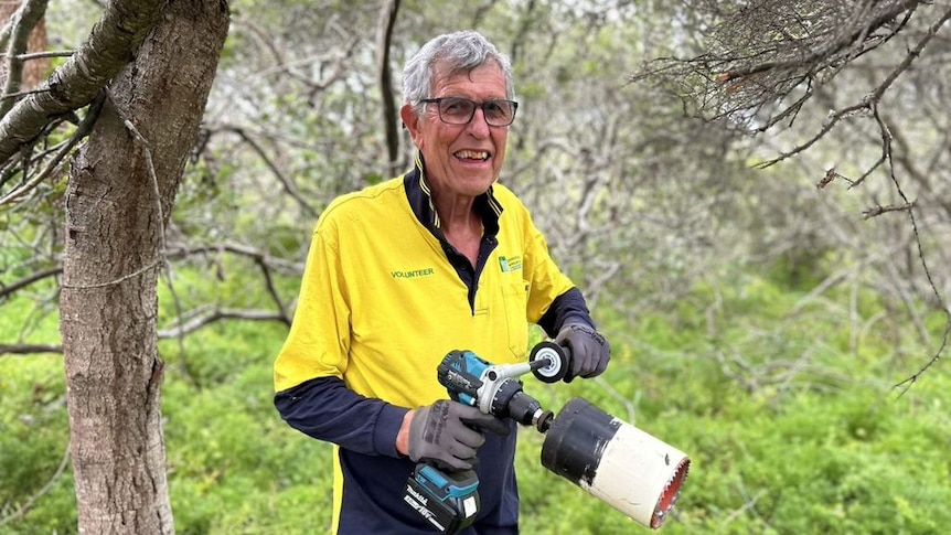 An older man holds a power tool in the bush.