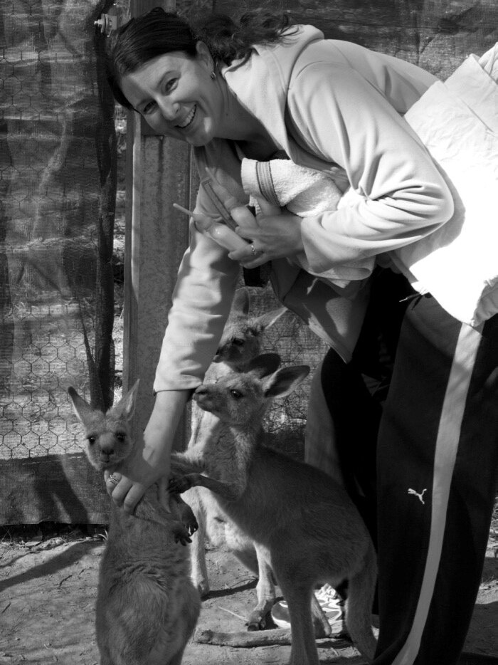 A black and white photograph shows a woman, wildlife carer Suzy Nethercott-Watson, bending down to feed two kangaroos